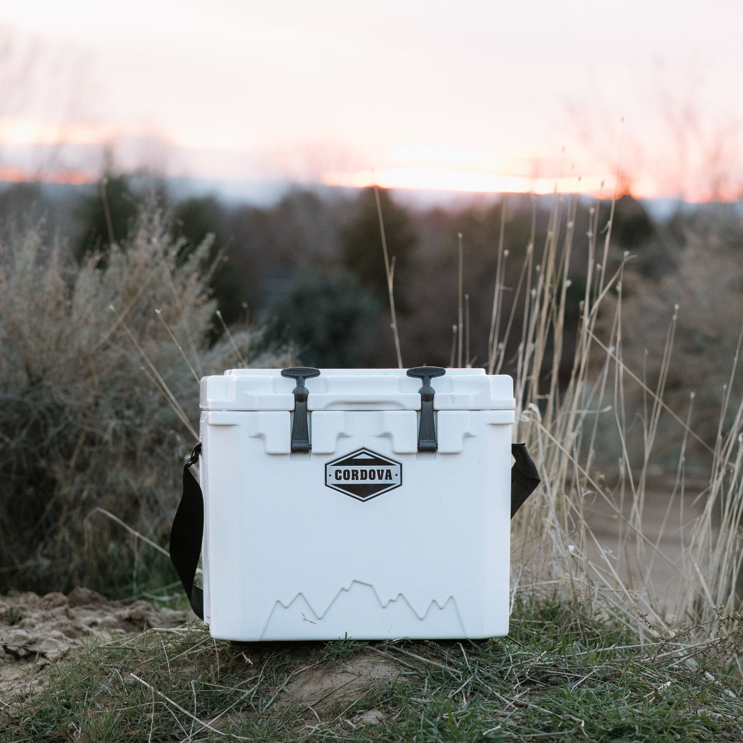 MasterCraft 25 qt Basecamp Class™ Hard Cooler