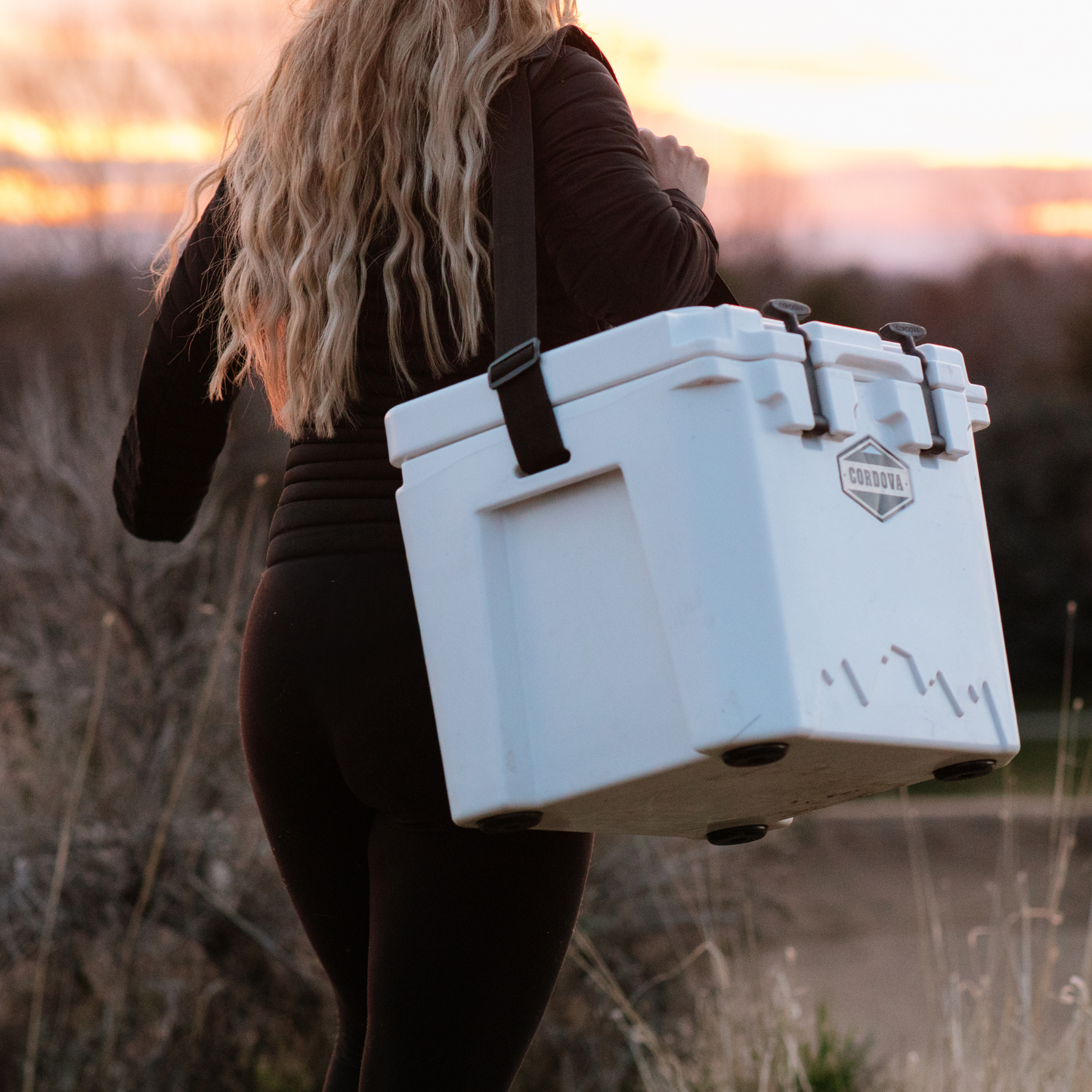 MasterCraft 25 qt Basecamp Class™ Hard Cooler