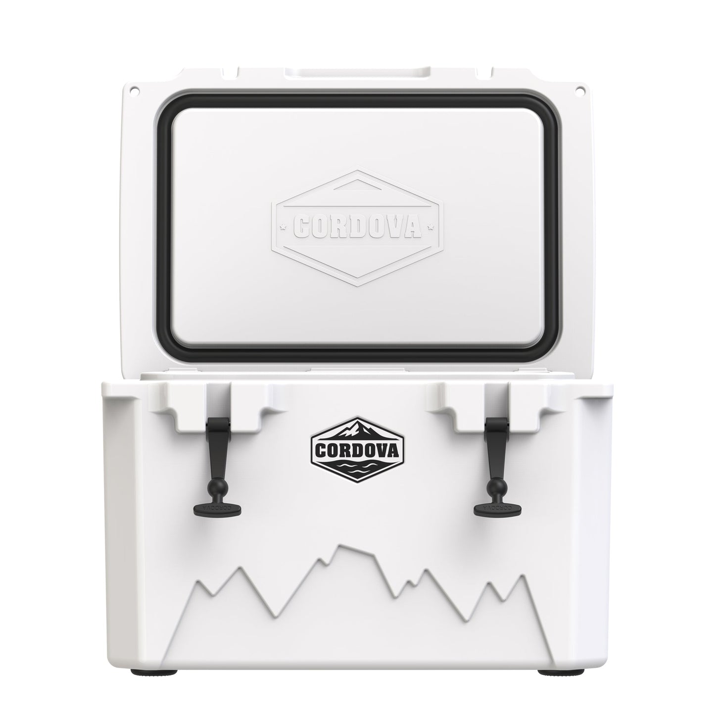 MasterCraft 45 qt Basecamp Class™ Hard Cooler